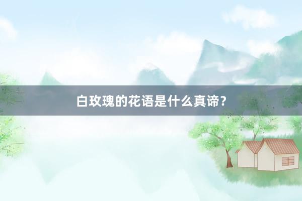 白玫瑰的花语是什么真谛？