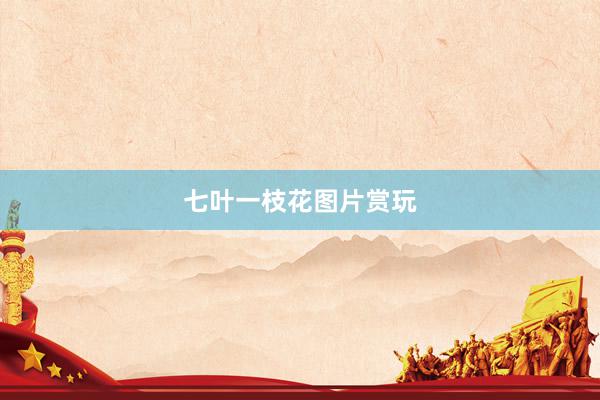 七叶一枝花图片赏玩