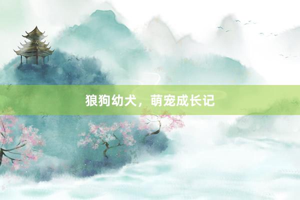 狼狗幼犬，萌宠成长记