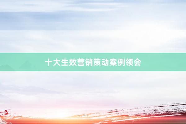 十大生效营销策动案例领会